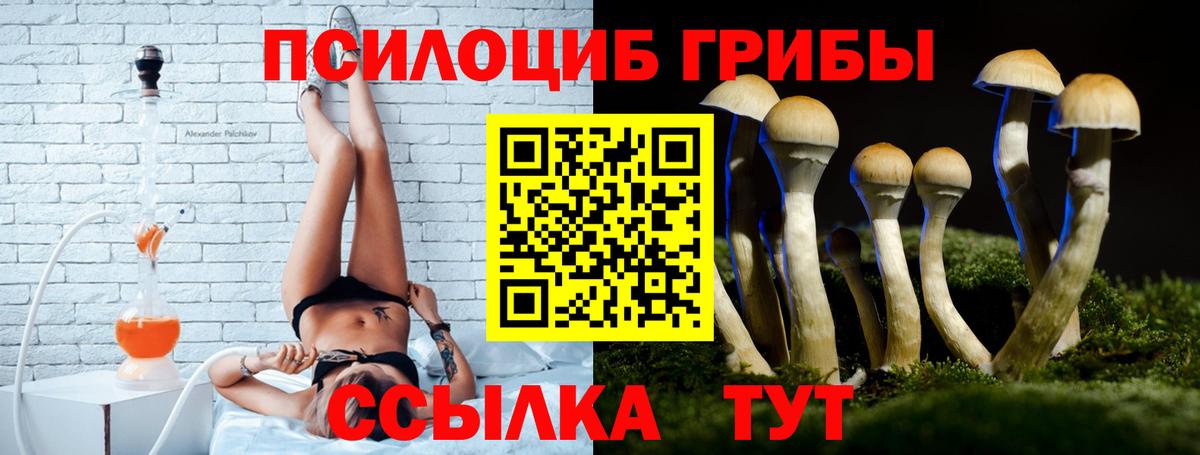 Галлюциногенные грибы GOLDEN TEACHER  Вход с VPN  Псилоцибиновые грибы мицелий  Урай 